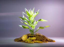 Holistic Financial Empowerment