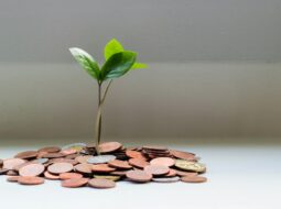 Financial Wellness and Coaching