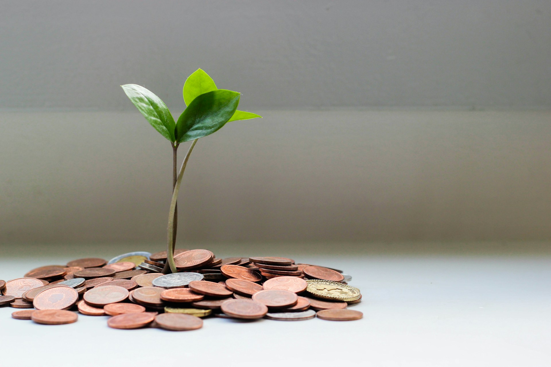 Financial Wellness and Coaching